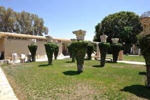 Read more about the article יין והיסטוריה בין בנימינה לקיסריה