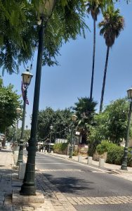 Read more about the article פריז הקטנה בזכרון יעקב